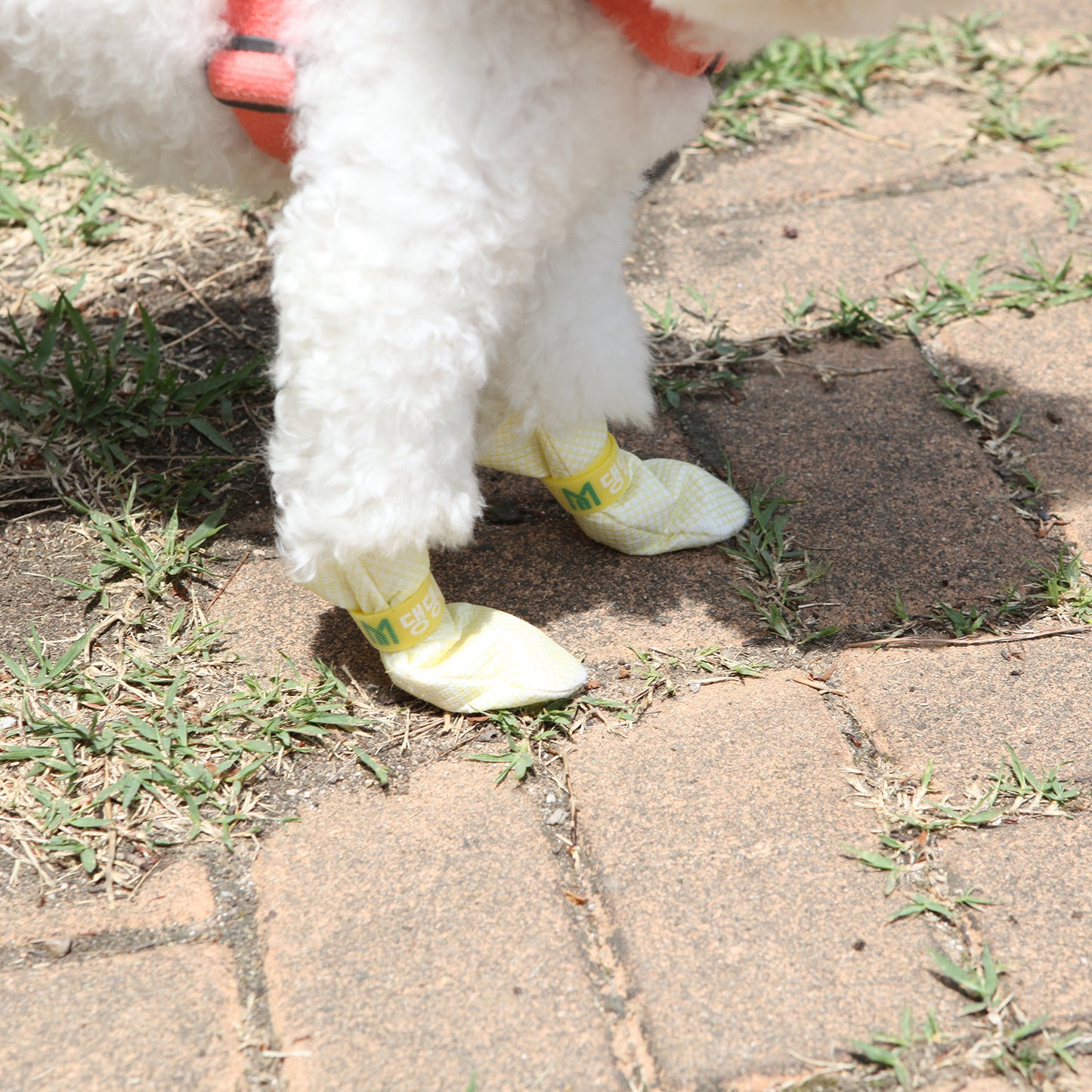 28pc X Dog Shoes Waterproof Disposable Boots Anti-Slip Pet Socks L BLUE