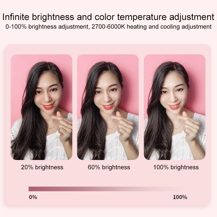 Portable Live Light Holder - Wk Wt-P11