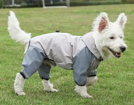 Waterproof Dog Raincoat with Hidden Leash Hole - Windproof and Comfortable for Outdoor Walks, Size:S (Back Length 20cm/7.87in, Bra 31cm/12.20in) Grey