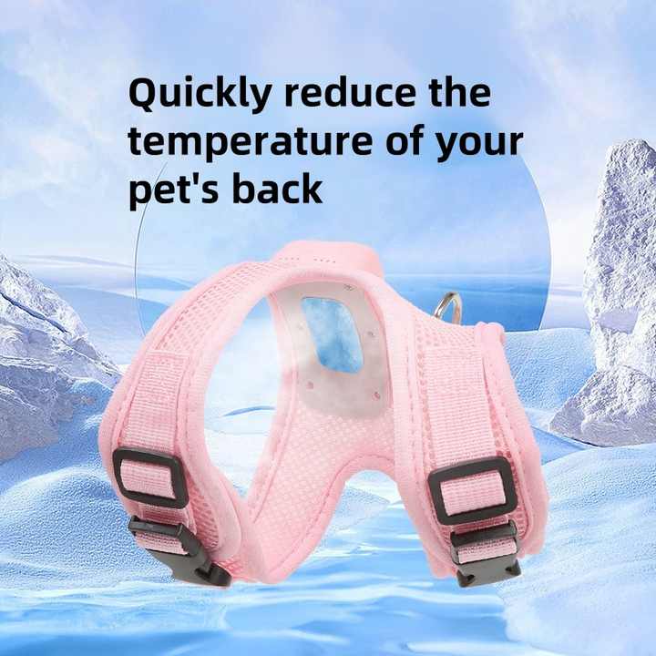 Size S Pink Pet Cooling Harness  LED Lights & Leash - Summer Relief for Small Dogs and Cats