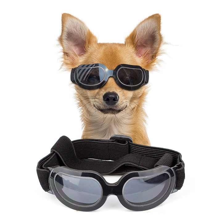 Black Lenses Pet Sunglasses for Dogs and Cats - UV Protection, Adjustable Strap, Anti-Wind and Anti-Fog Pet Goggles