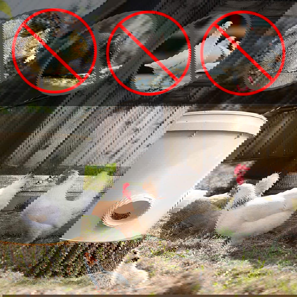 Waterproof No Waste DIY Chicken Feeders Gravity Feed Kit for Buckets, Boxes, Tanks - SEKSI